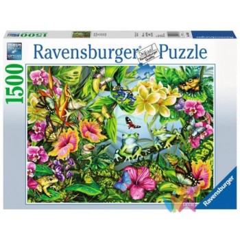 PUZZLE 1500 PZ FIND THE FROGS