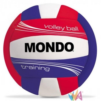 PALLONE VOLLEY TRAINING CUOIO
