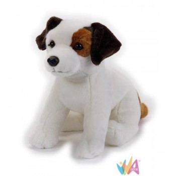 JACK RUSSEL NGS