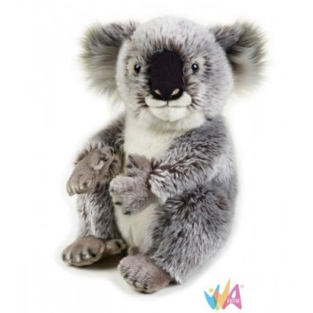 KOALA MEDIO (NGS)