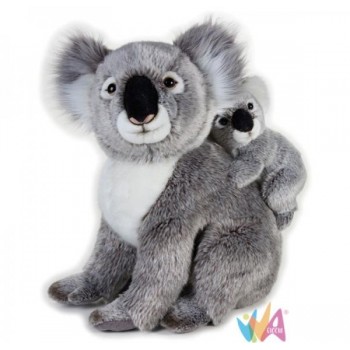 KOALA CON BABY NGS