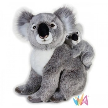 KOALA CON BABY NGS