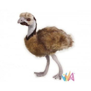 EMU' (NGS)