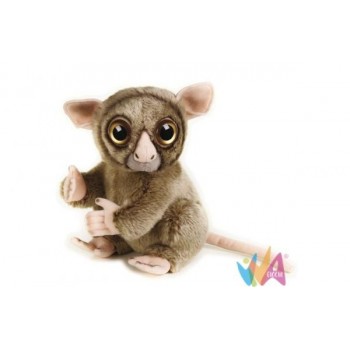 TARSIER (NGS)