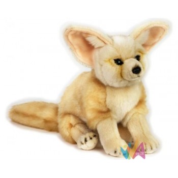 FENNEC - VOLPE NGS