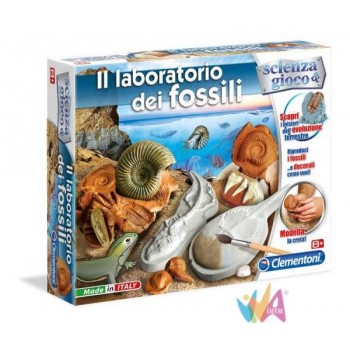 LABORATORIO DEI FOSSILI