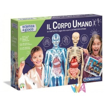 IL CORPO UMANO