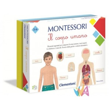 MONTESSORI IL CORPO UMANO