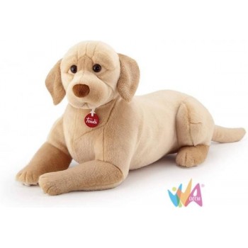 LABRADOR LIAM XL CM 27X34X74