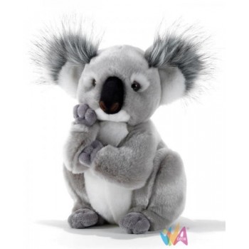 KOLETTE' KOALA