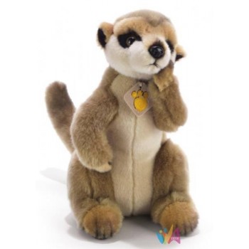 PAKO MEERKAT - SURICATO - H...