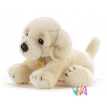 GAGA CREAM RETRIEVER L. 30 CM.