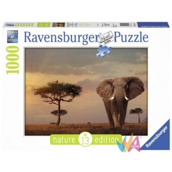 PUZZLE 1000 PZ ELEFANTE DEL...