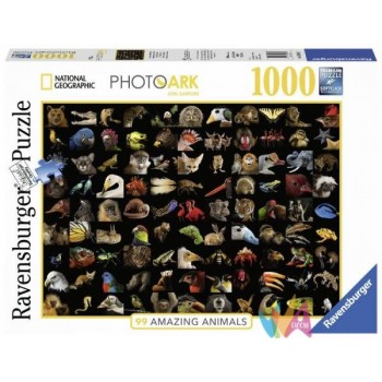 PUZZLE 1000 PZ 99 SPLENDIDI...