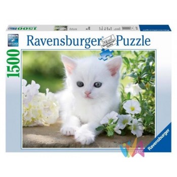 PUZZLE 1500 PZ GATTINO...