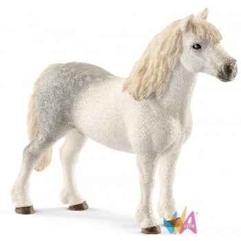 STALLONE WELSH PONY (SERIE...