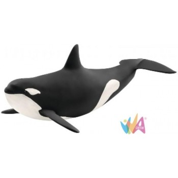 ORCA (SERIE WILD LIFE...