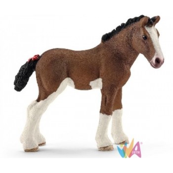 PULEDRO CLYDESDALE (SERIE...
