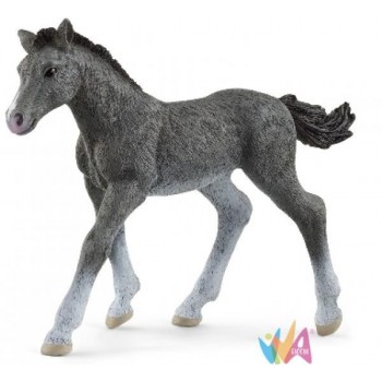 TRAKEHNER FOAL (SERIE HORSE...