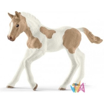 PULEDRO PAINT HORSE (SERIE...