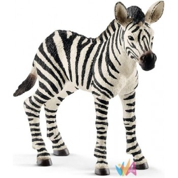 Schleich - Puledro di Zebra...